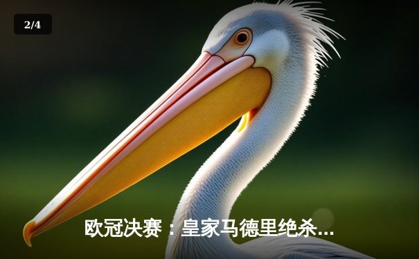 欧冠决赛：皇家马德里绝杀多特蒙德，第15次捧起大耳朵杯 - 2